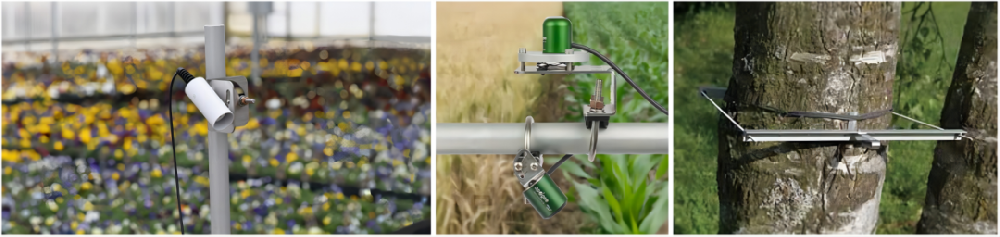 蓝景科技|LJ-SZ1000植物生长状态监测系统在山东某国家森林公园顺利安装