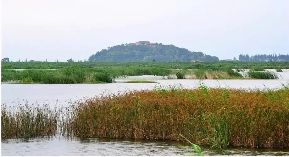 蓝景科技赋能湿地生态-江苏常州长荡湖国家湿地公园